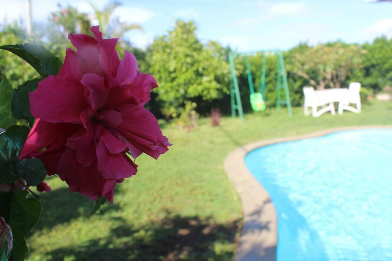 Gite Des Acacias Union Vale Dış mekan fotoğraf