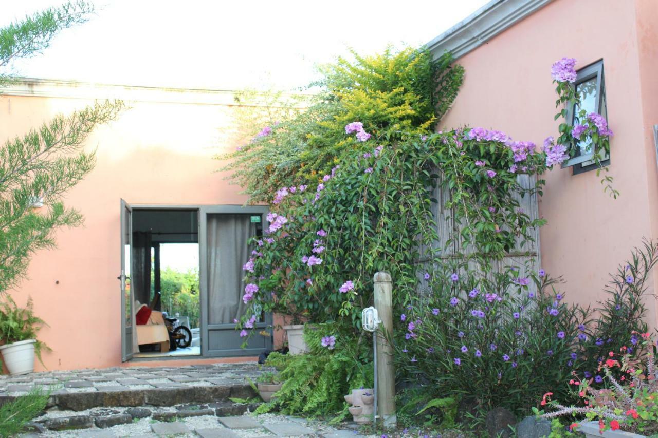 Gite Des Acacias Union Vale Dış mekan fotoğraf