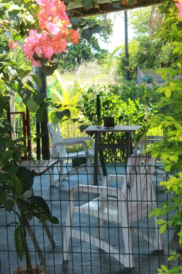 Gite Des Acacias Union Vale Dış mekan fotoğraf